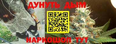 индика Нягань