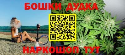 индика Нягань