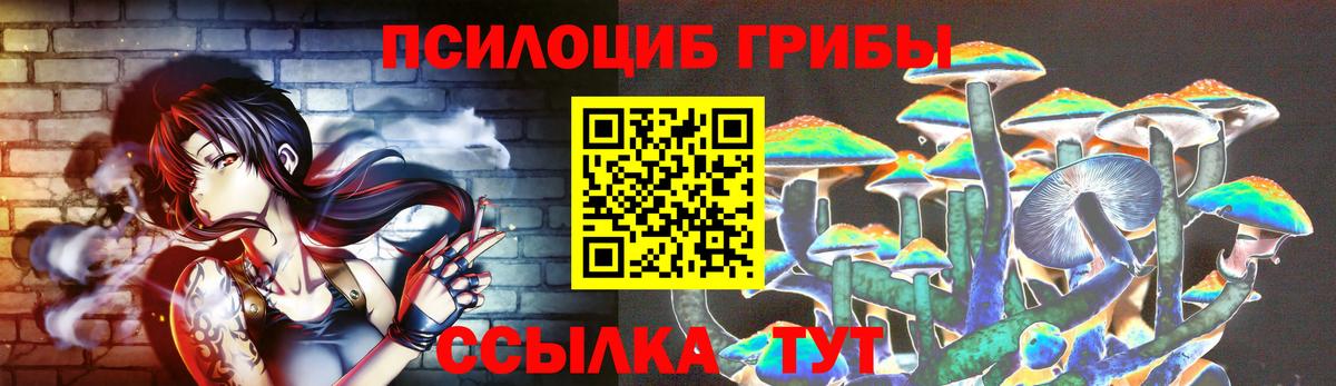 Галлюциногенные грибы Cubensis  Псилоцибиновые грибы Psilocybe  Тверь  Вход с VPN 